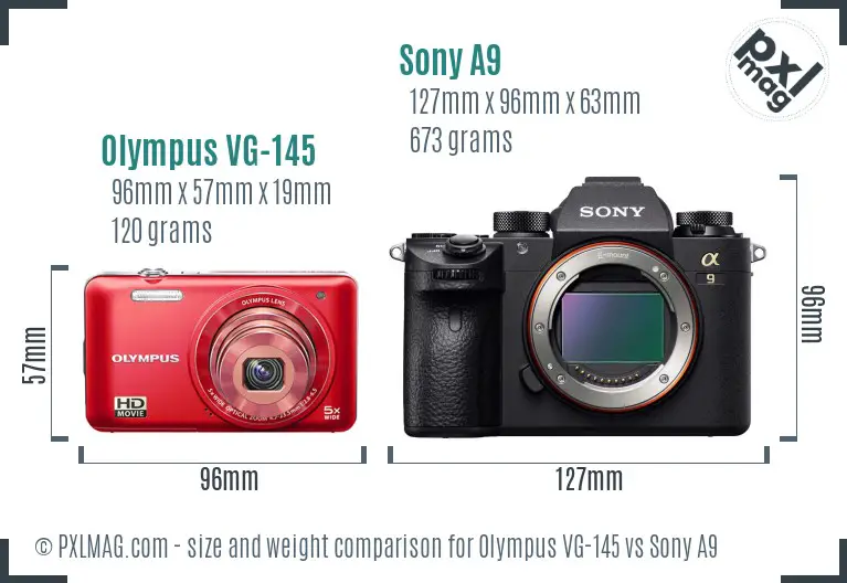 Olympus VG-145 vs Sony A9 size comparison