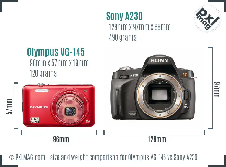 Olympus VG-145 vs Sony A230 size comparison