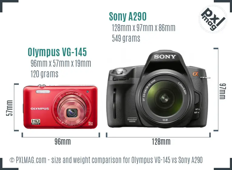 Olympus VG-145 vs Sony A290 size comparison