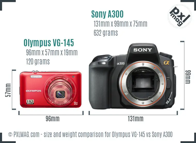 Olympus VG-145 vs Sony A300 size comparison