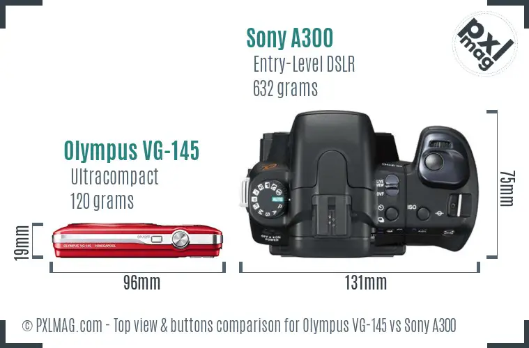 Olympus VG-145 vs Sony A300 top view buttons comparison