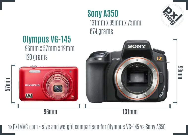 Olympus VG-145 vs Sony A350 size comparison