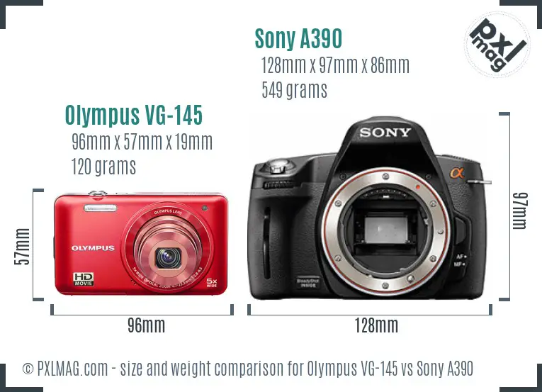Olympus VG-145 vs Sony A390 size comparison