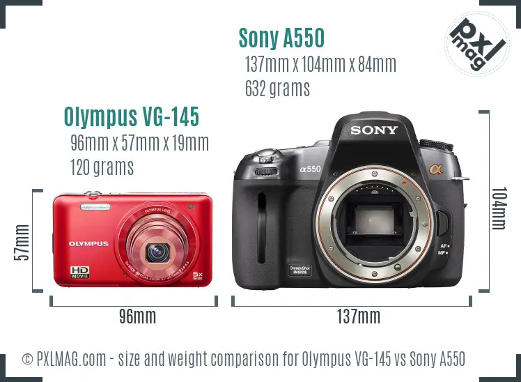 Olympus VG-145 vs Sony A550 size comparison