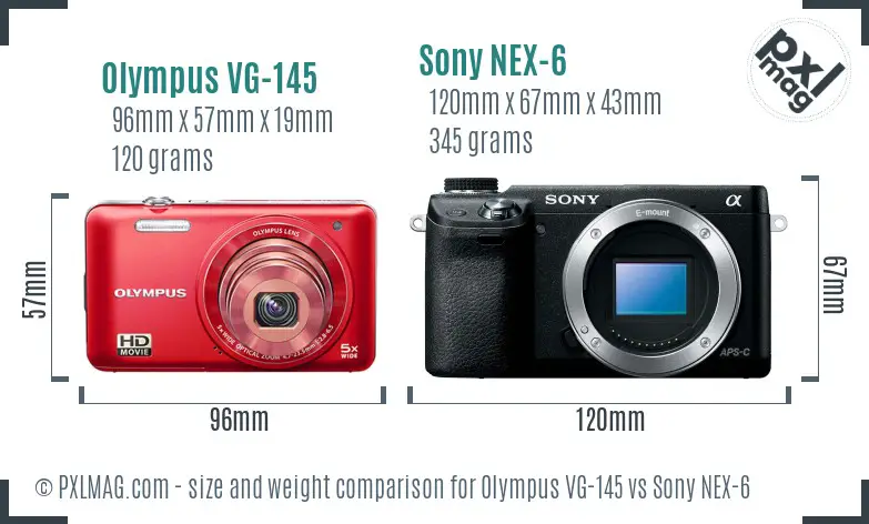 Olympus VG-145 vs Sony NEX-6 size comparison