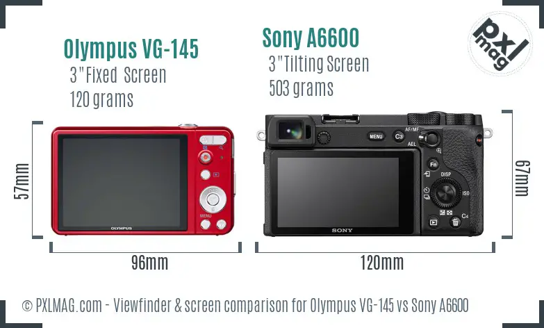 Olympus VG-145 vs Sony A6600 Screen and Viewfinder comparison