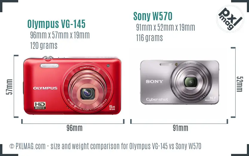 Olympus VG-145 vs Sony W570 size comparison