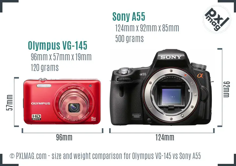 Olympus VG-145 vs Sony A55 size comparison