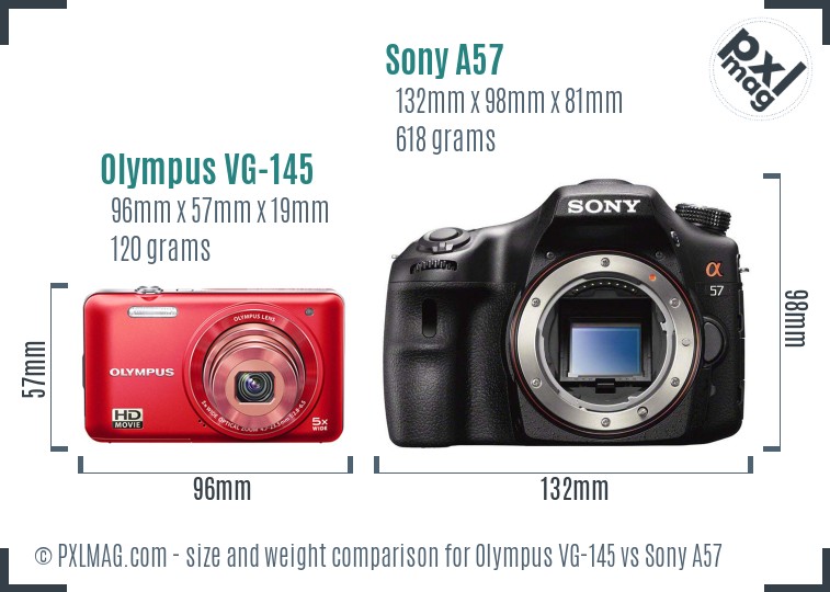 Olympus VG-145 vs Sony A57 size comparison