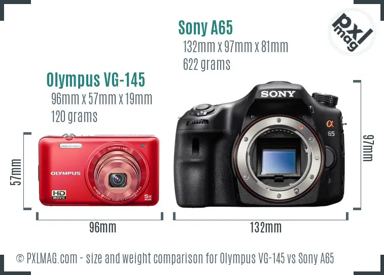 Olympus VG-145 vs Sony A65 size comparison