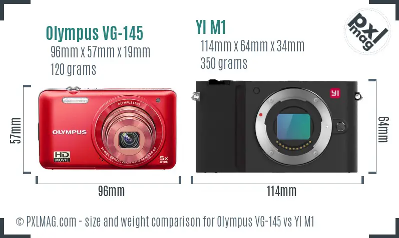 Olympus VG-145 vs YI M1 size comparison