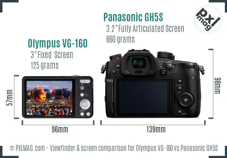 Olympus VG-160 vs Panasonic GH5S Screen and Viewfinder comparison