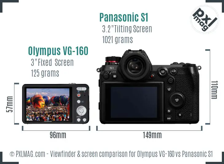 Olympus VG-160 vs Panasonic S1 Screen and Viewfinder comparison