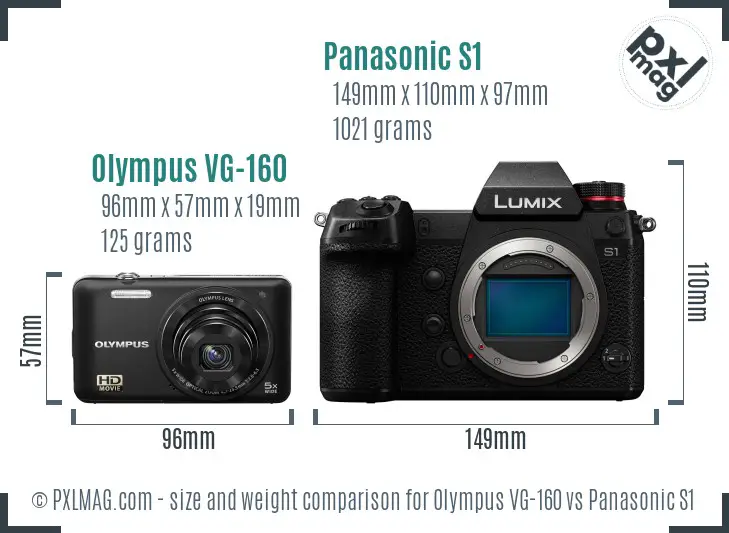 Olympus VG-160 vs Panasonic S1 size comparison