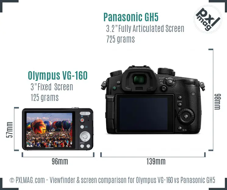 Olympus VG-160 vs Panasonic GH5 Screen and Viewfinder comparison