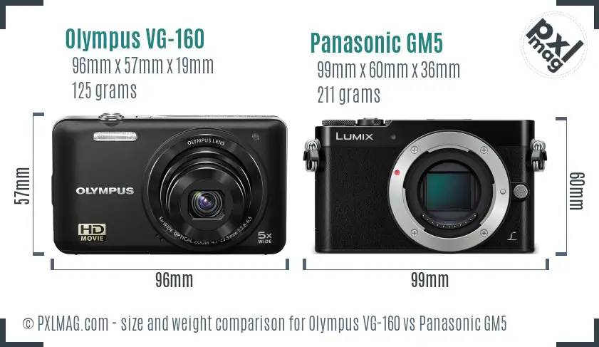 Olympus VG-160 vs Panasonic GM5 size comparison