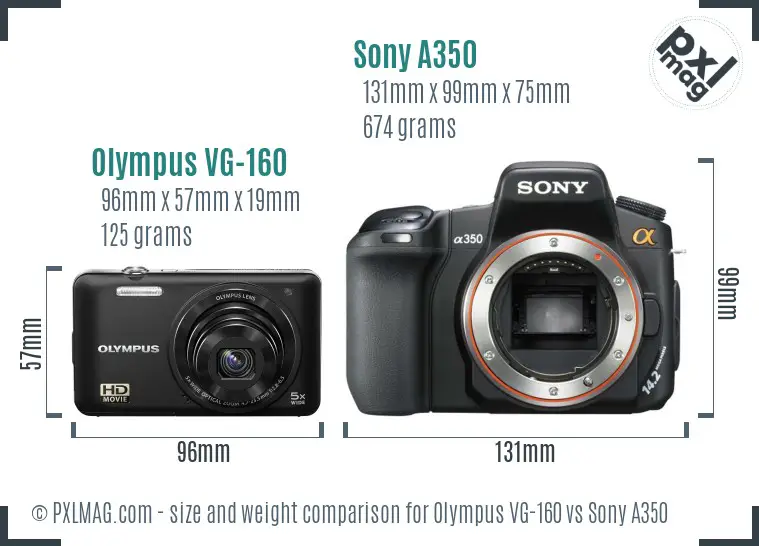 Olympus VG-160 vs Sony A350 size comparison