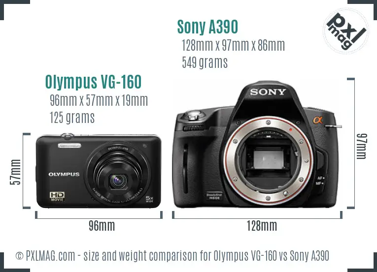Olympus VG-160 vs Sony A390 size comparison