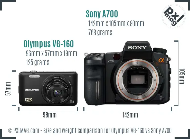 Olympus VG-160 vs Sony A700 size comparison