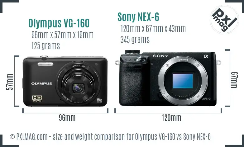 Olympus VG-160 vs Sony NEX-6 size comparison