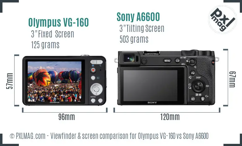 Olympus VG-160 vs Sony A6600 Screen and Viewfinder comparison