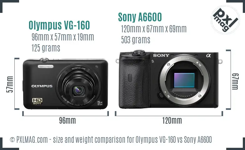Olympus VG-160 vs Sony A6600 size comparison