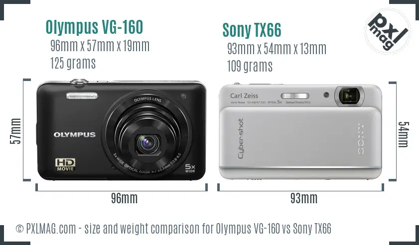 Olympus VG-160 vs Sony TX66 size comparison