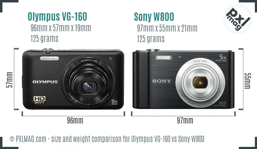 Olympus VG-160 vs Sony W800 size comparison
