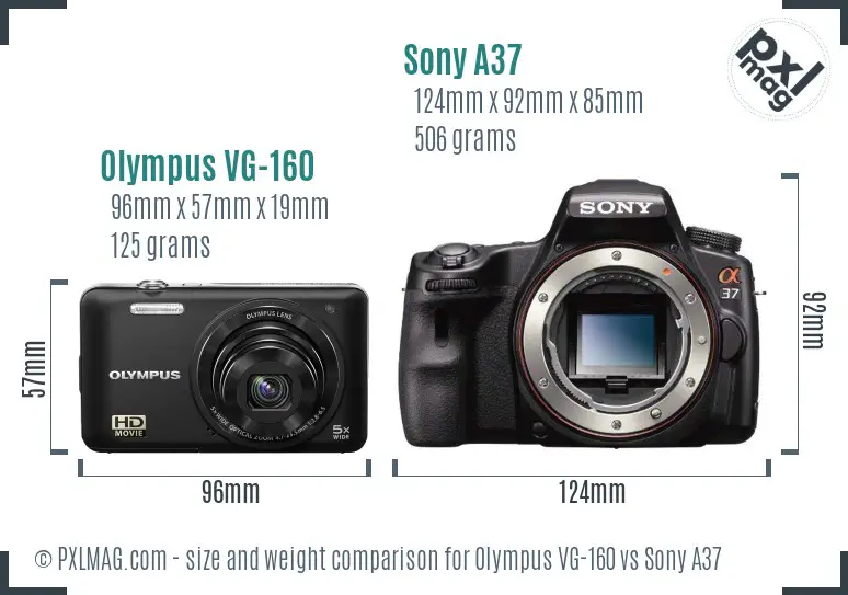 Olympus VG-160 vs Sony A37 size comparison