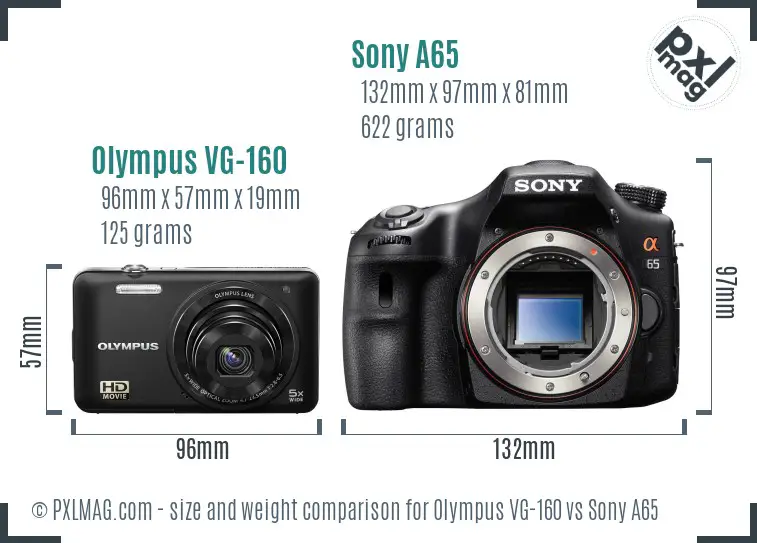 Olympus VG-160 vs Sony A65 size comparison