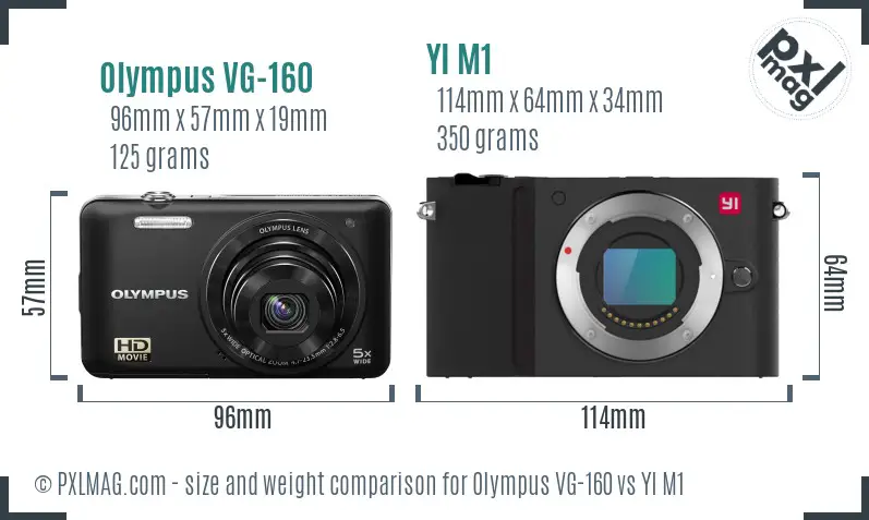Olympus VG-160 vs YI M1 size comparison