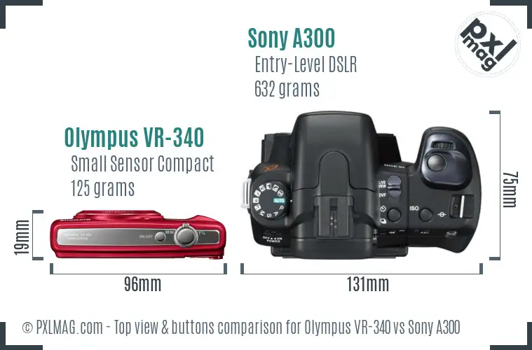 Olympus VR-340 vs Sony A300 top view buttons comparison