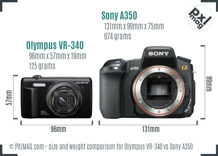 Olympus VR-340 vs Sony A350 size comparison