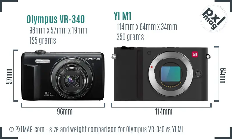 Olympus VR-340 vs YI M1 size comparison