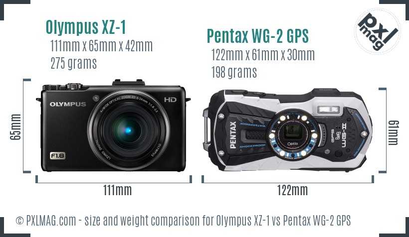 Olympus XZ-1 vs Pentax WG-2 GPS size comparison