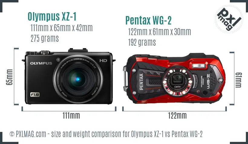 Olympus XZ-1 vs Pentax WG-2 size comparison