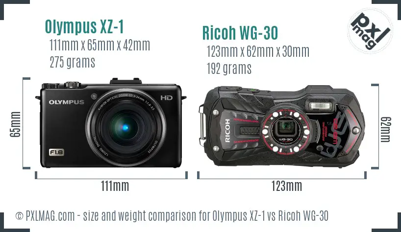 Olympus XZ-1 vs Ricoh WG-30 size comparison