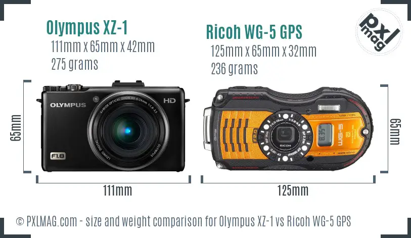 Olympus XZ-1 vs Ricoh WG-5 GPS size comparison