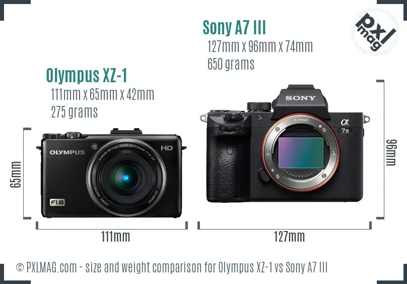 Olympus XZ-1 vs Sony A7 III size comparison