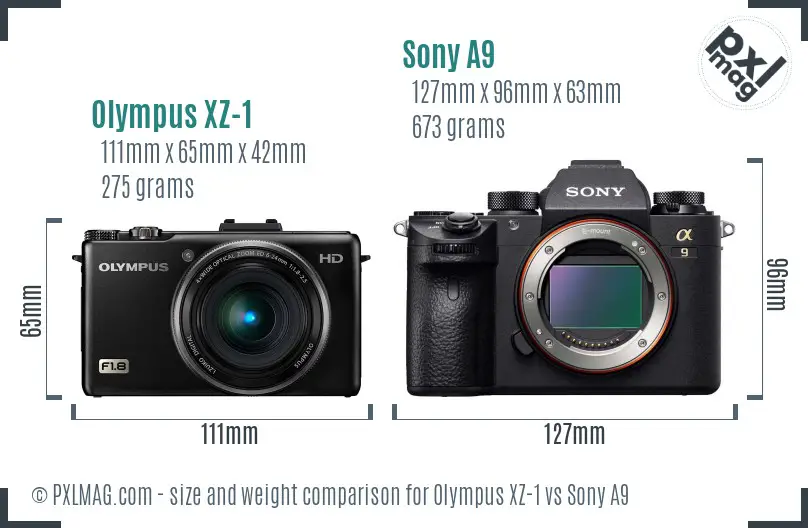 Olympus XZ-1 vs Sony A9 size comparison