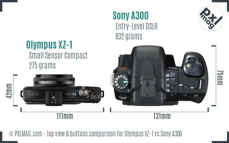 Olympus XZ-1 vs Sony A300 top view buttons comparison