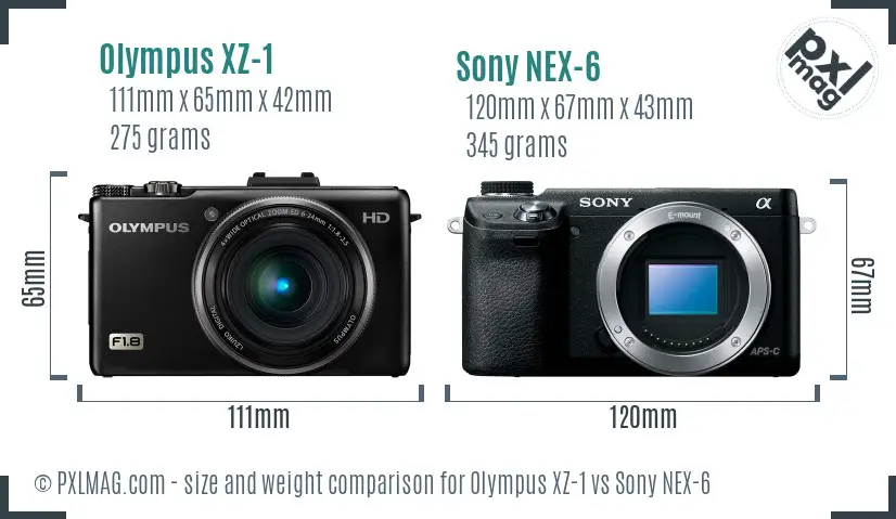 Olympus XZ-1 vs Sony NEX-6 size comparison