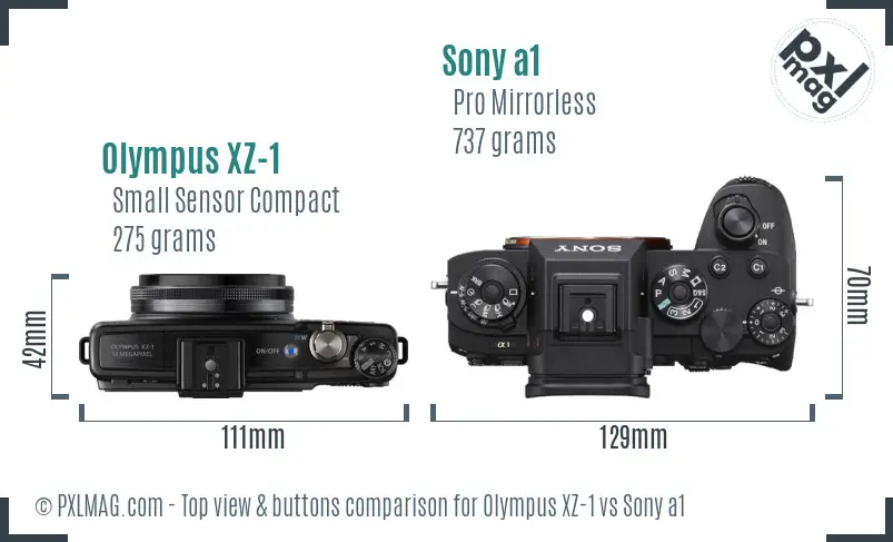 Olympus XZ-1 vs Sony a1 top view buttons comparison