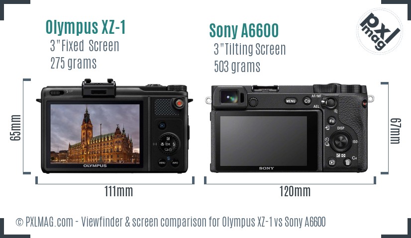 Olympus XZ-1 vs Sony A6600 Screen and Viewfinder comparison