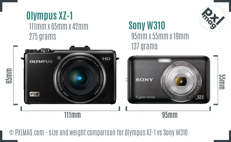 Olympus XZ-1 vs Sony W310 size comparison