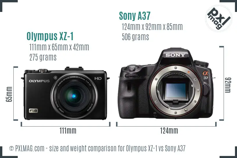 Olympus XZ-1 vs Sony A37 size comparison