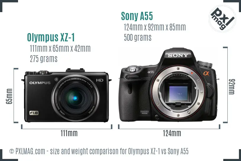 Olympus XZ-1 vs Sony A55 size comparison