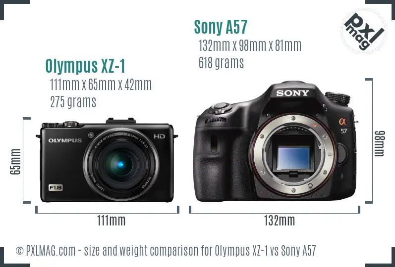 Olympus XZ-1 vs Sony A57 size comparison