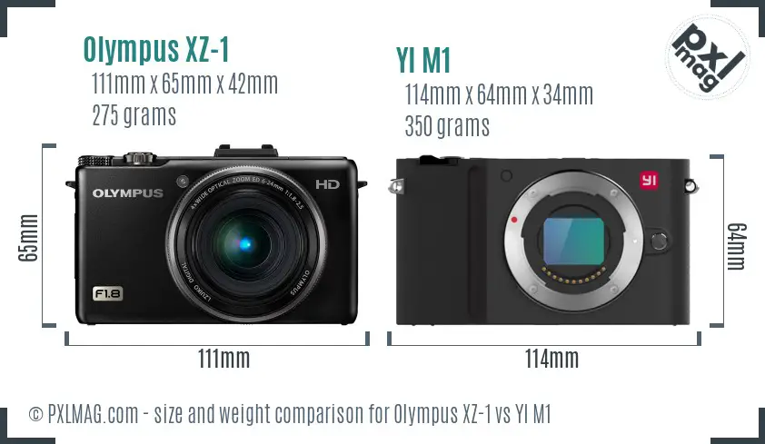 Olympus XZ-1 vs YI M1 size comparison