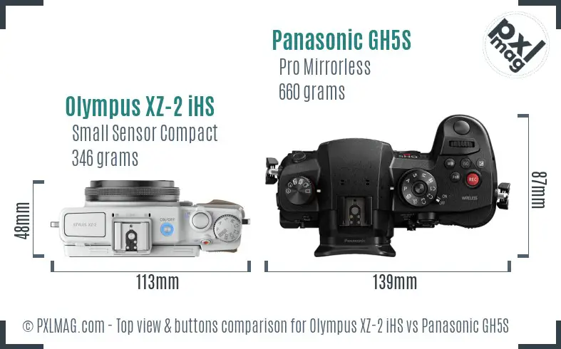 Olympus XZ-2 iHS vs Panasonic GH5S top view buttons comparison